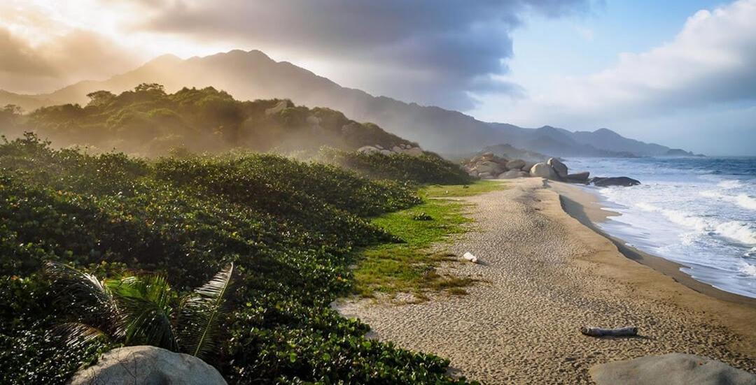 Bed and Breakfast Colibri Parque Tayrona Dentro Del Parque Nacional Tayrona Эль-Саино Экстерьер фото