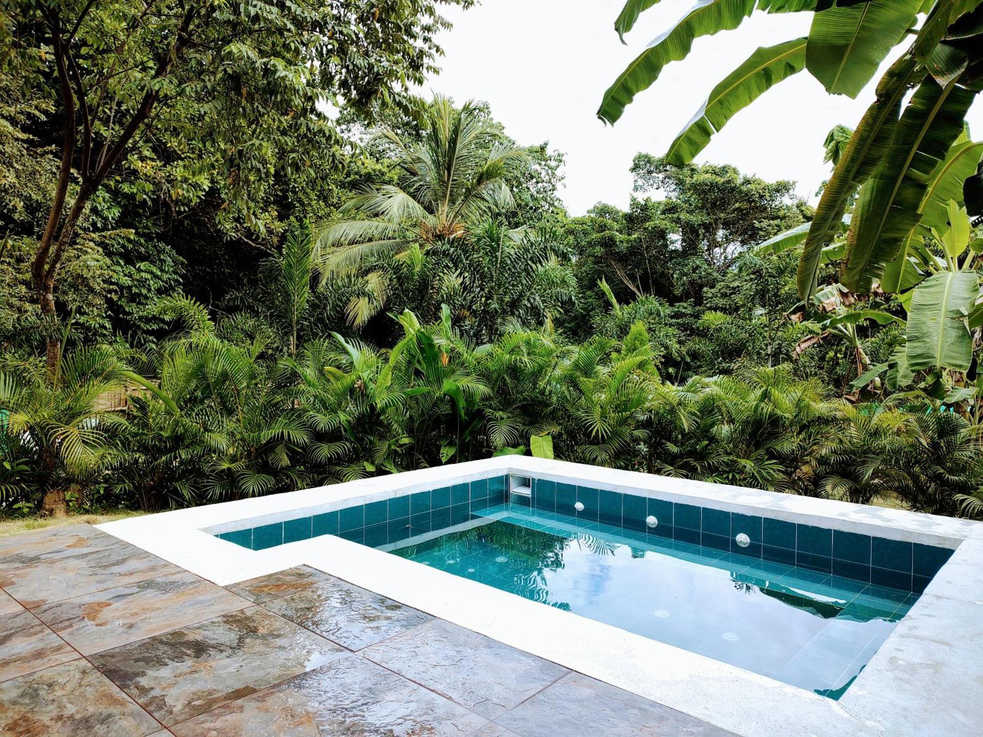 Bed and Breakfast Colibri Parque Tayrona Dentro Del Parque Nacional Tayrona Эль-Саино Экстерьер фото