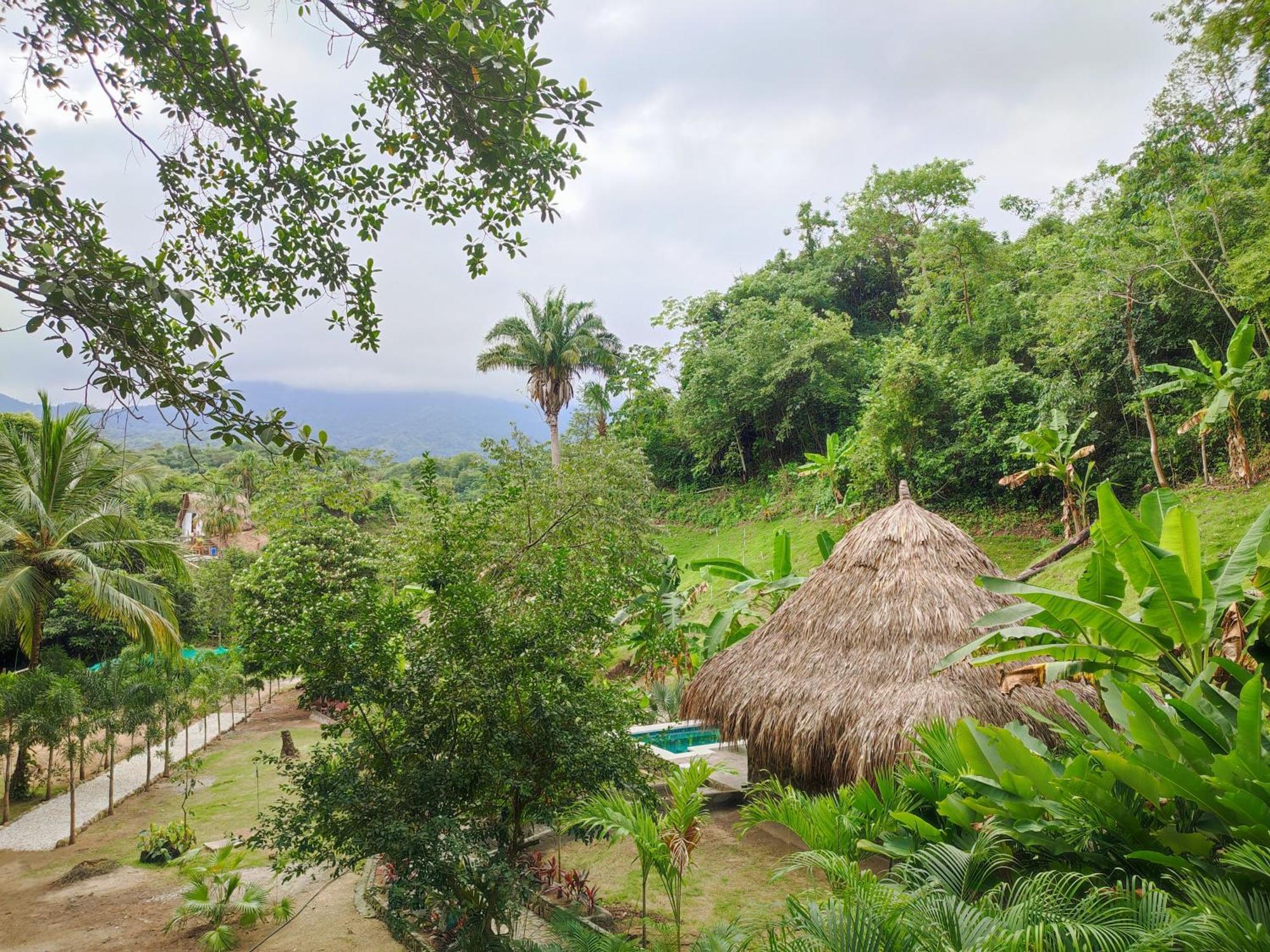 Bed and Breakfast Colibri Parque Tayrona Dentro Del Parque Nacional Tayrona Эль-Саино Экстерьер фото