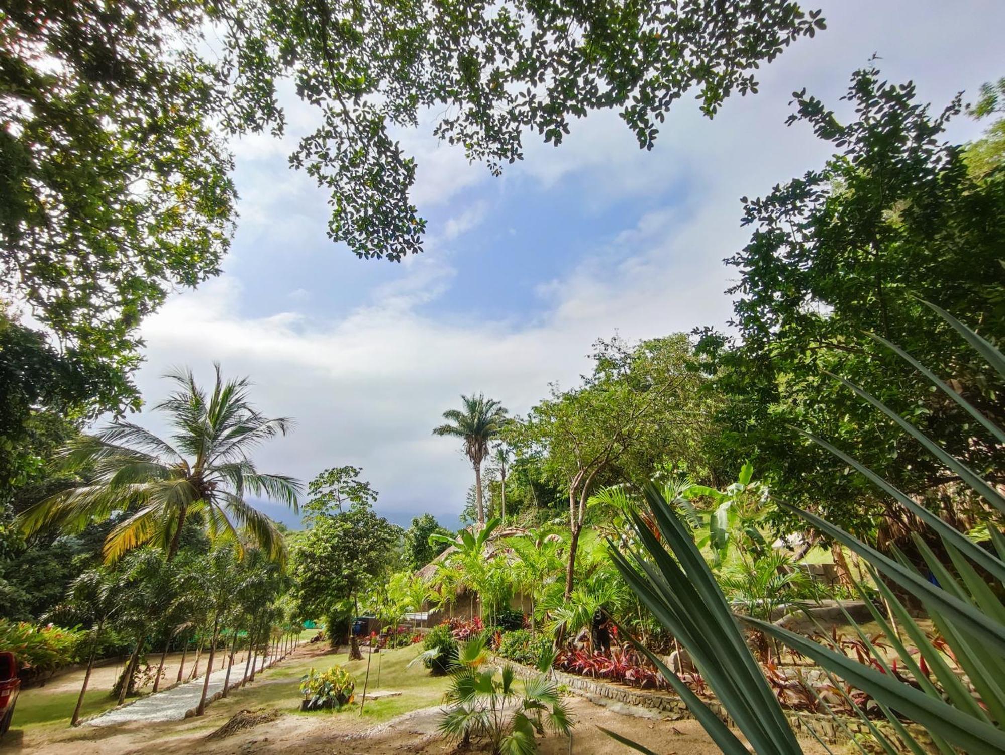 Bed and Breakfast Colibri Parque Tayrona Dentro Del Parque Nacional Tayrona Эль-Саино Экстерьер фото