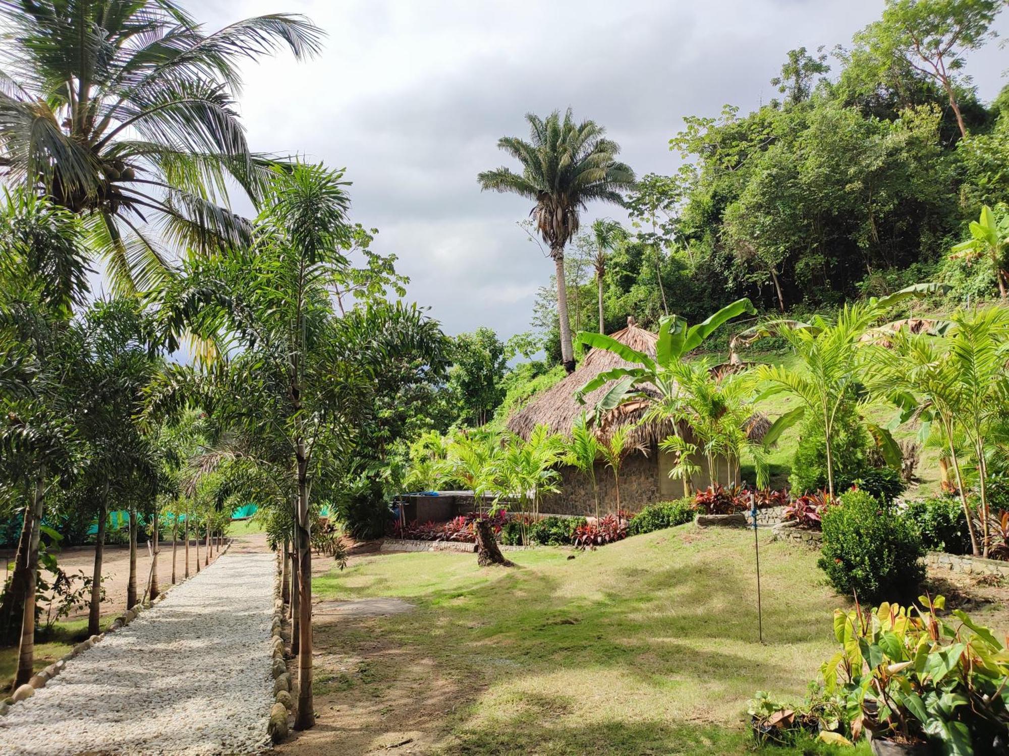 Bed and Breakfast Colibri Parque Tayrona Dentro Del Parque Nacional Tayrona Эль-Саино Экстерьер фото