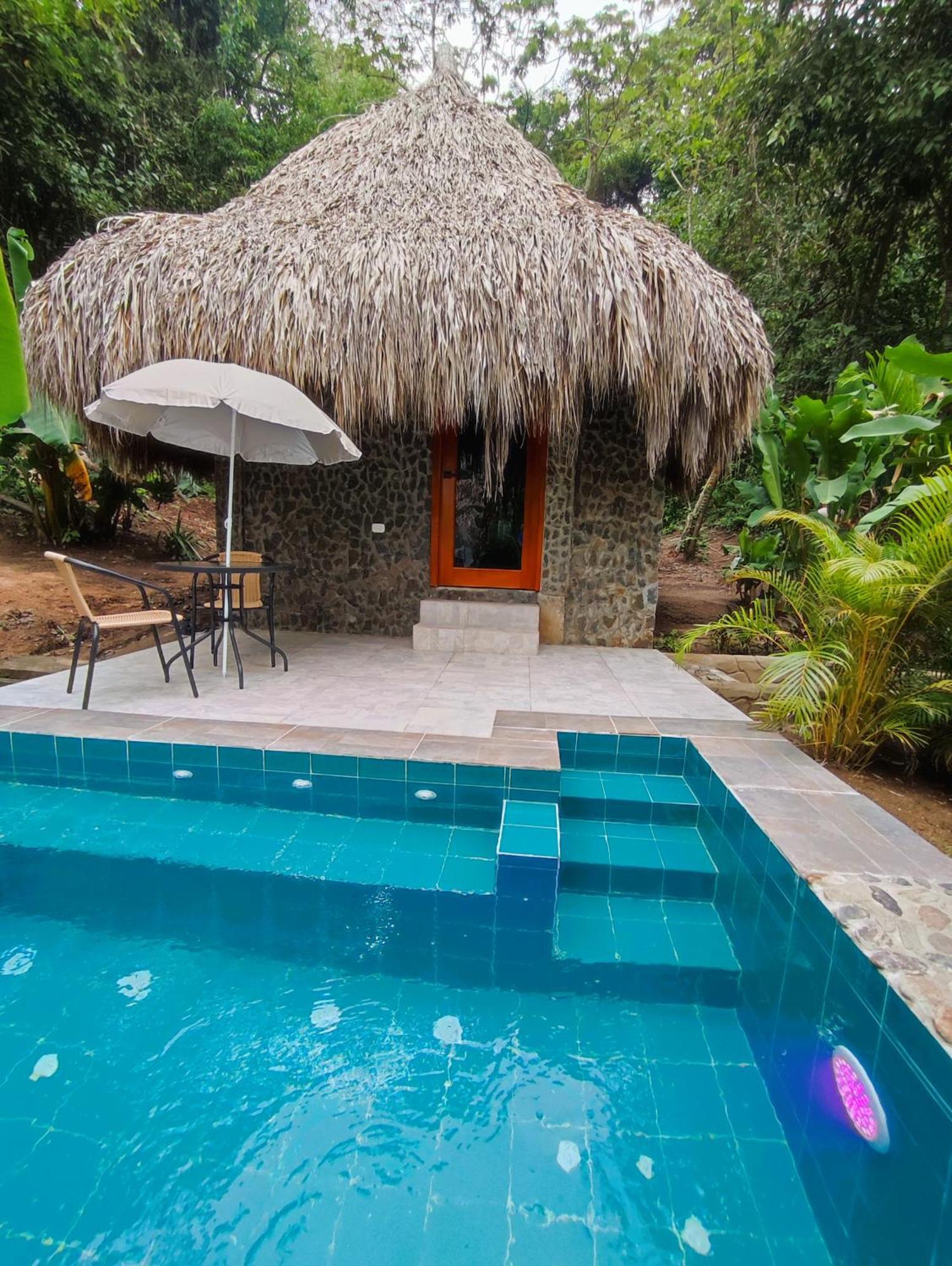 Bed and Breakfast Colibri Parque Tayrona Dentro Del Parque Nacional Tayrona Эль-Саино Экстерьер фото