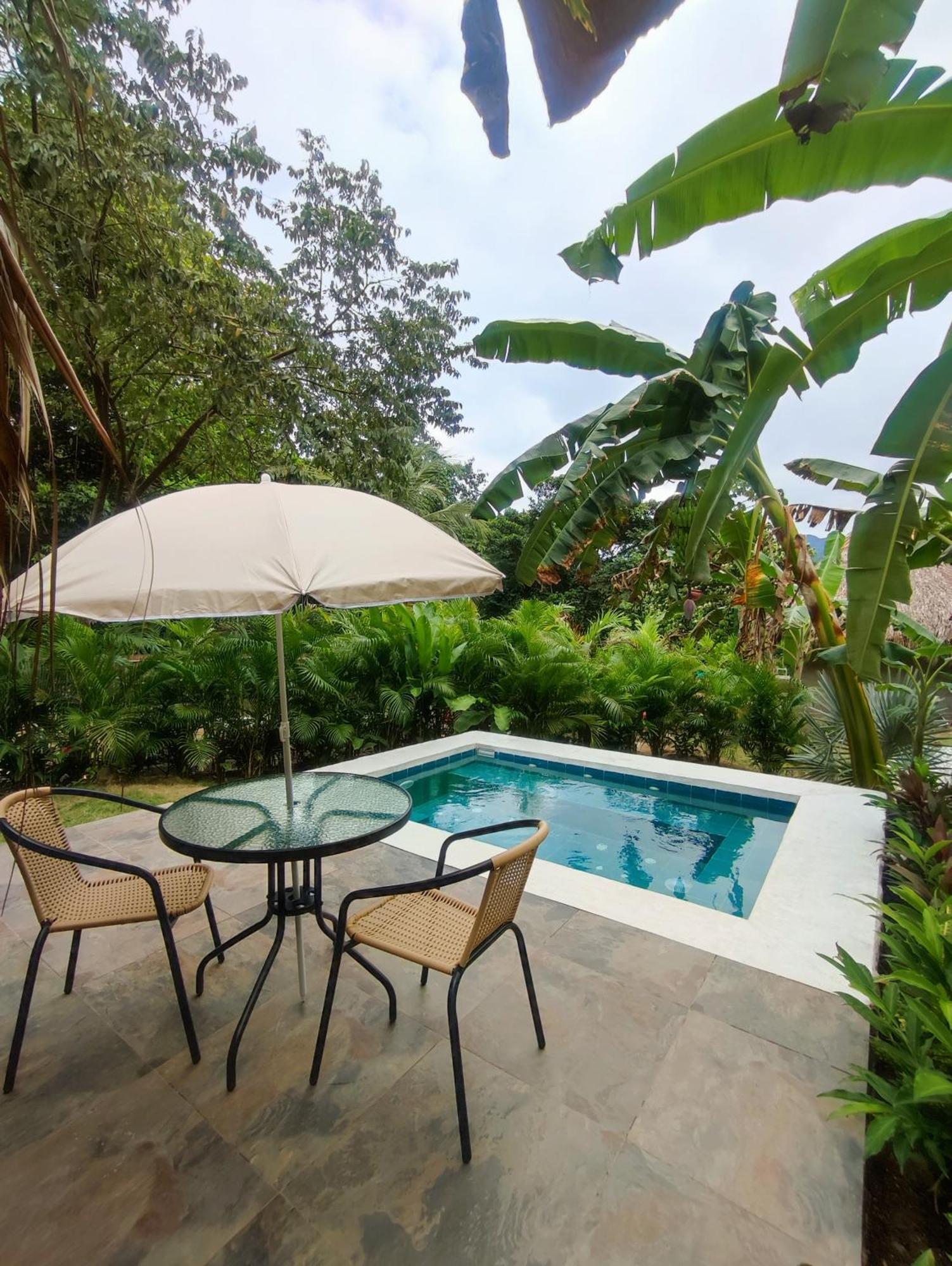 Bed and Breakfast Colibri Parque Tayrona Dentro Del Parque Nacional Tayrona Эль-Саино Экстерьер фото