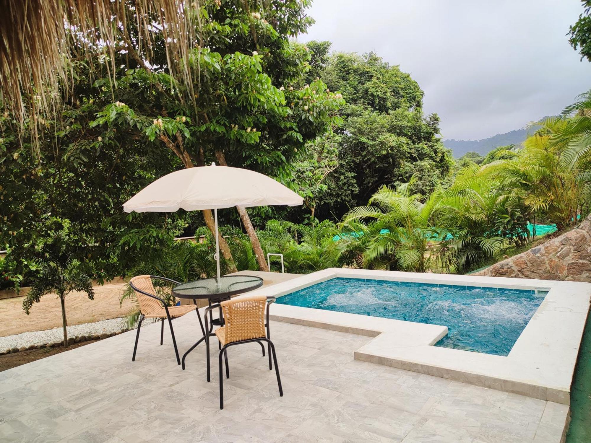 Bed and Breakfast Colibri Parque Tayrona Dentro Del Parque Nacional Tayrona Эль-Саино Экстерьер фото