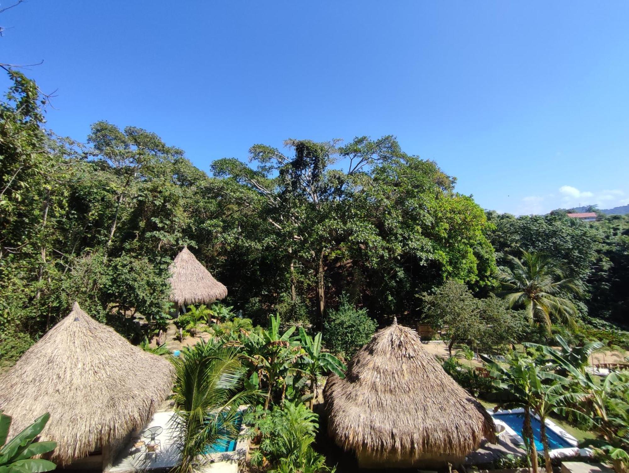 Bed and Breakfast Colibri Parque Tayrona Dentro Del Parque Nacional Tayrona Эль-Саино Экстерьер фото